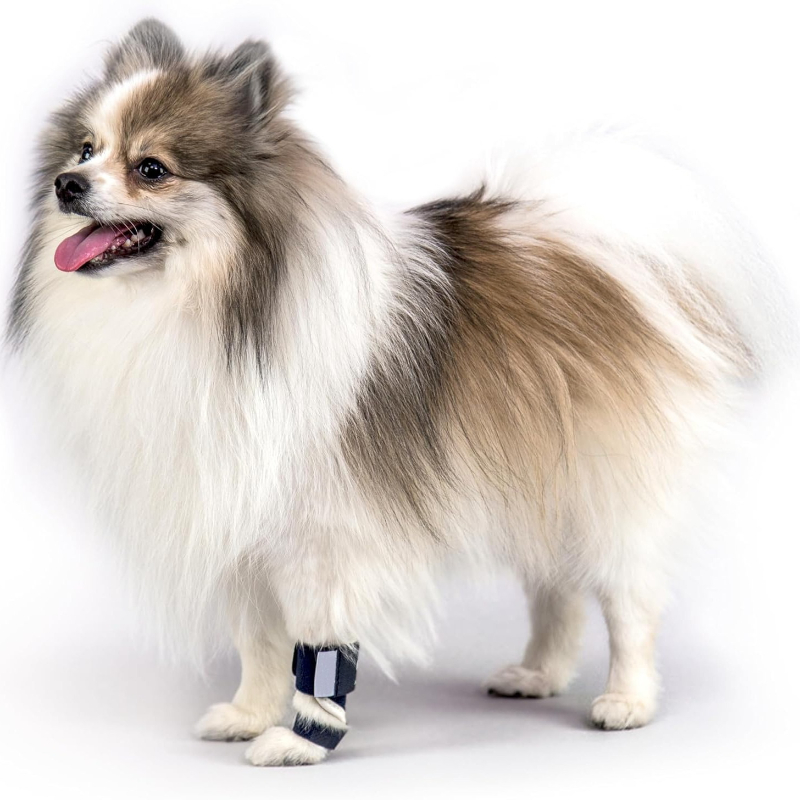 Carpal Hyperextension Dog Brac - огляд і ціна Ankle Brace Support